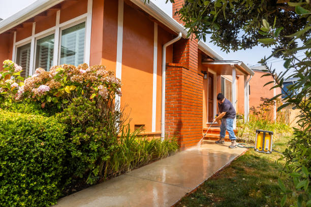 Best Pressure Washing Company Near Me  in Pace, FL